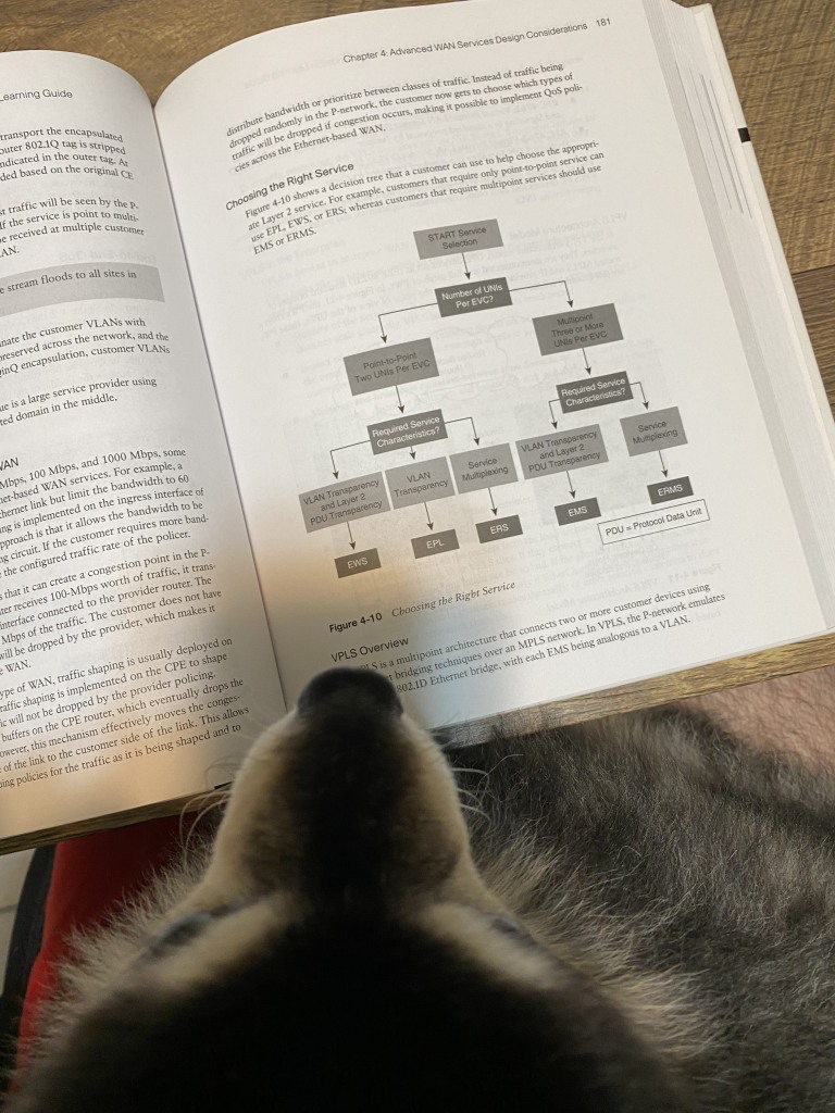 My Buddy Reading Up On VPLS