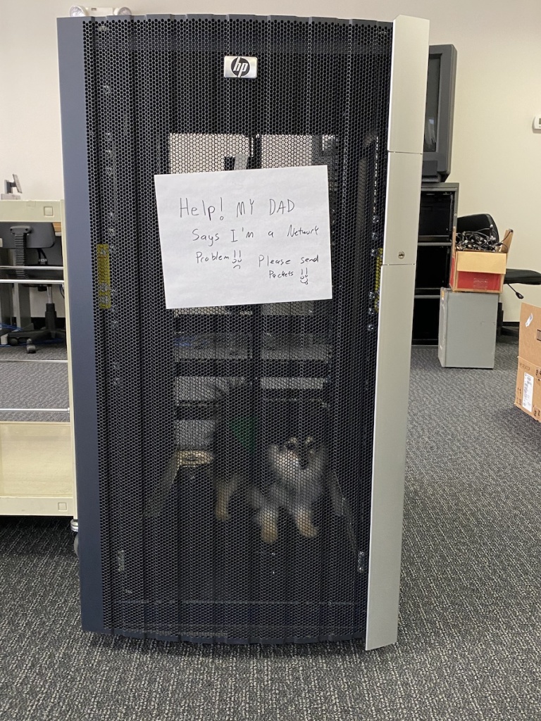 My buddy helping out confirm the rack was empty before we moved it.